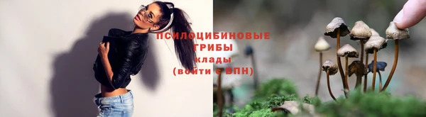 сатива Аркадак