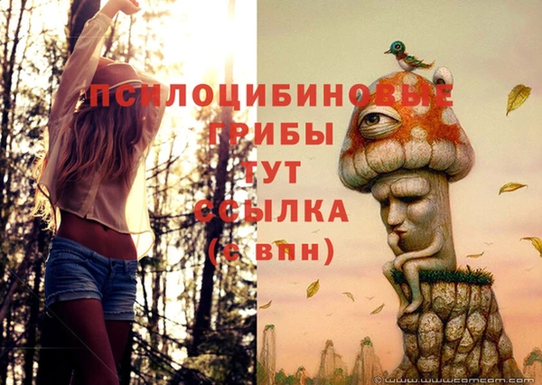 хмурый Арсеньев