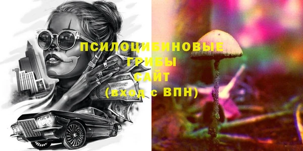 хмурый Арсеньев