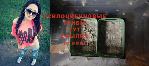 сатива Аркадак