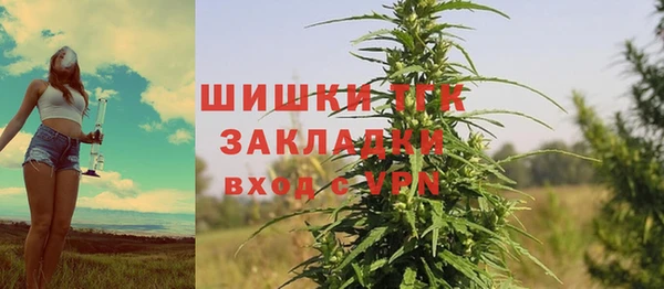 сатива Аркадак