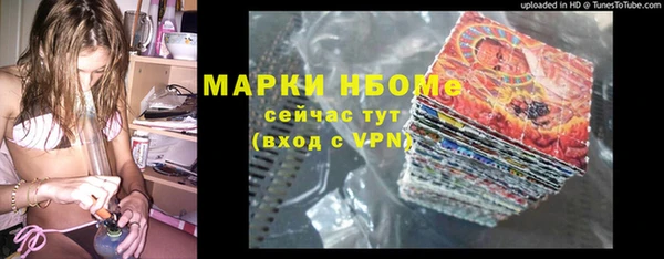 сатива Аркадак