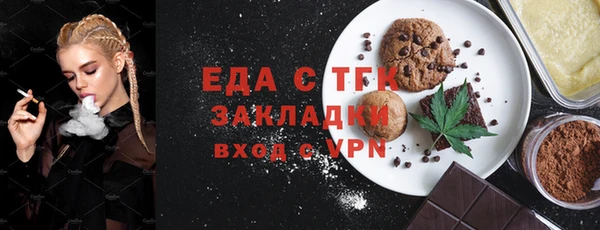 хмурый Арсеньев