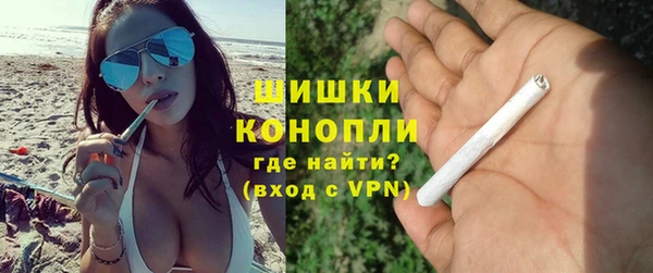 хмурый Арсеньев